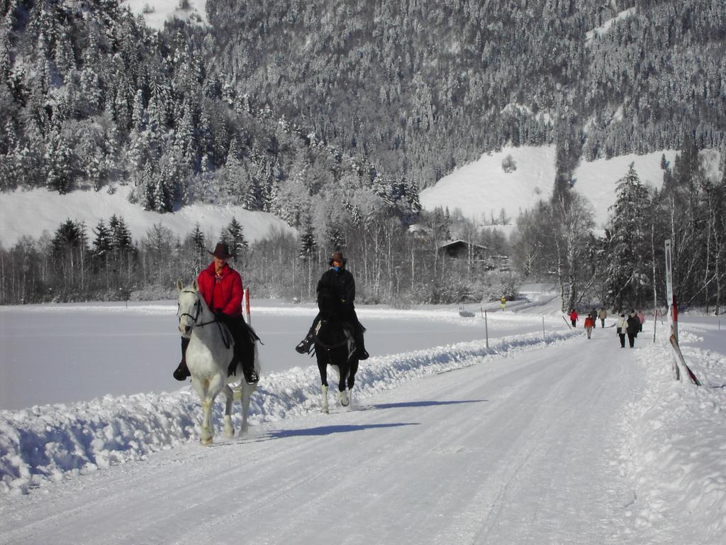 Bergheim Komfort Ferienwohnungen Walchsee Buitenkant foto