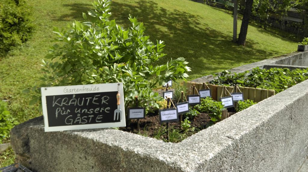Bergheim Komfort Ferienwohnungen Walchsee Buitenkant foto